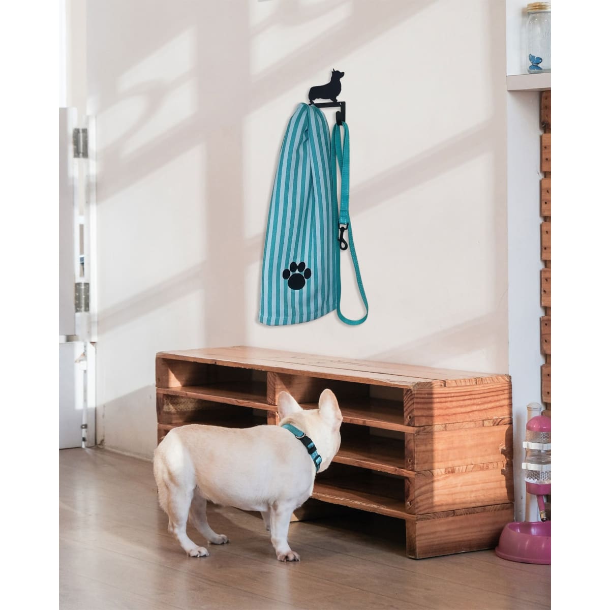 Boxer dog wall hook with leash and towel in home setting